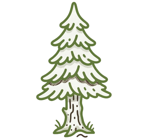 Green line-art icon of a tall, single evergreen pine tree.